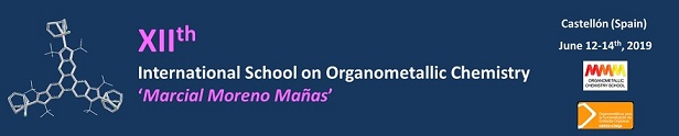 INTERNATIONAL SCHOOL ON ORGANOMETALLIC CHEMISTRY  - ISOC 2019